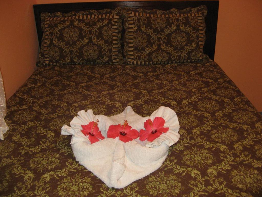 Executive Shaw Park Guest House Ότσο Ρίος Εξωτερικό φωτογραφία