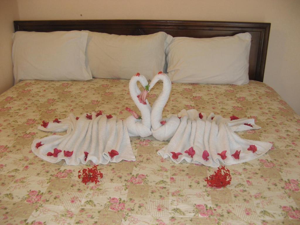 Executive Shaw Park Guest House Ότσο Ρίος Εξωτερικό φωτογραφία