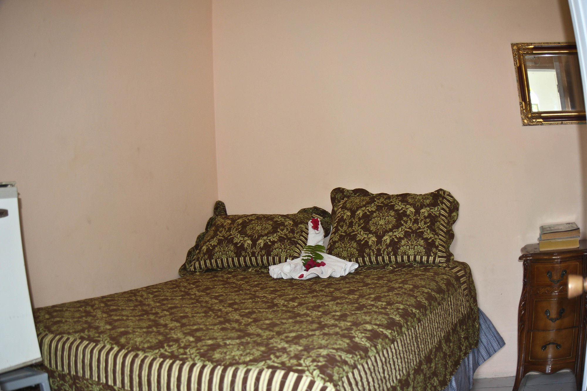 Executive Shaw Park Guest House Ότσο Ρίος Εξωτερικό φωτογραφία
