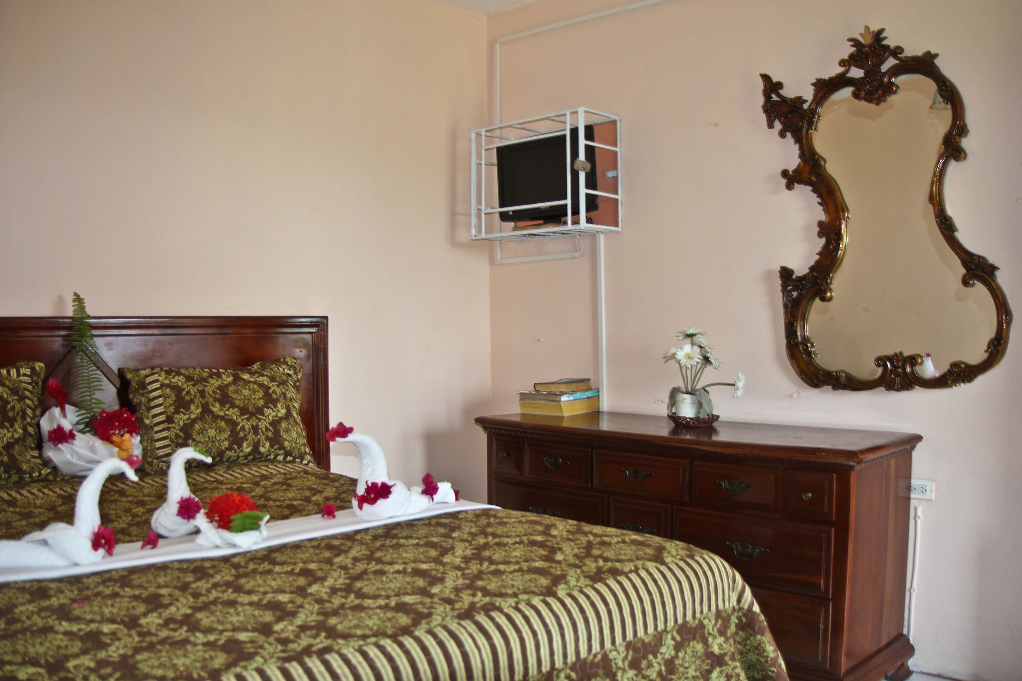 Executive Shaw Park Guest House Ότσο Ρίος Εξωτερικό φωτογραφία